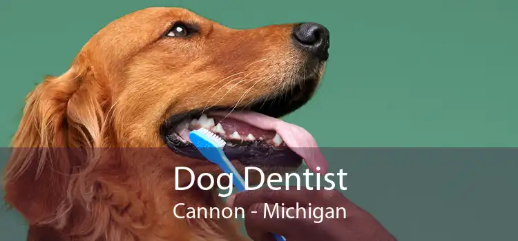 Dog Dentist Cannon - Michigan
