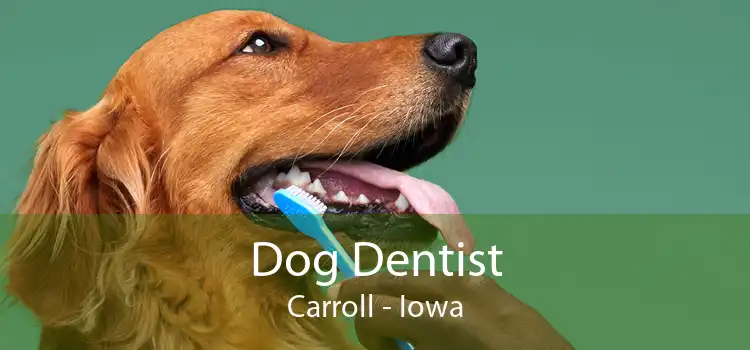 Dog Dentist Carroll - Iowa