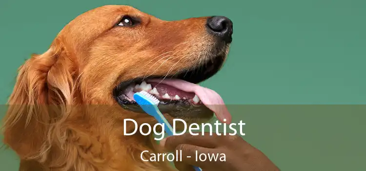 Dog Dentist Carroll - Iowa