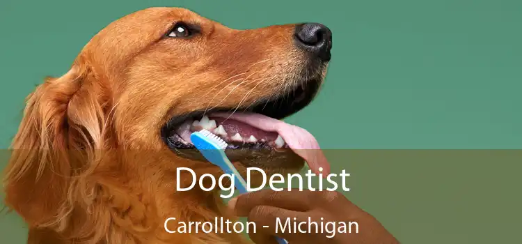 Dog Dentist Carrollton - Michigan