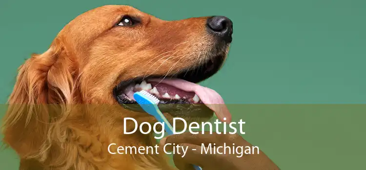 Dog Dentist Cement City - Michigan