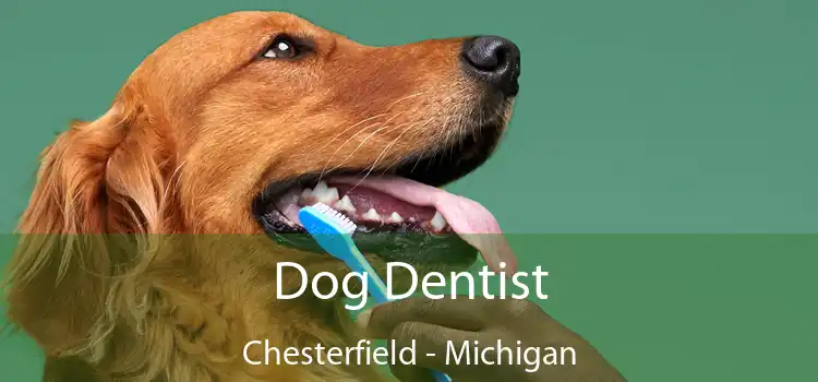 Dog Dentist Chesterfield - Michigan