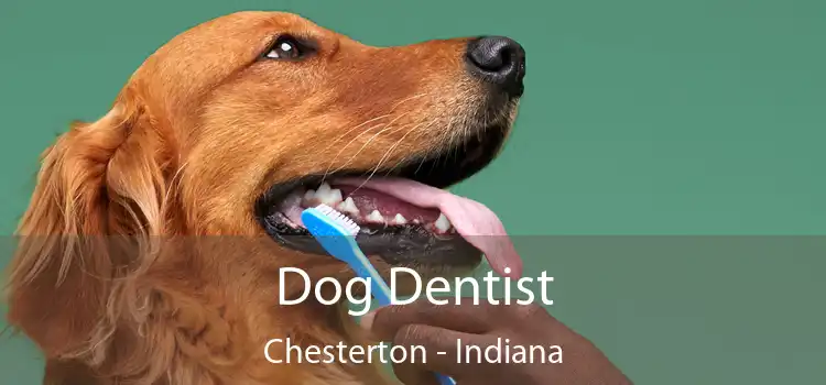 Dog Dentist Chesterton - Indiana