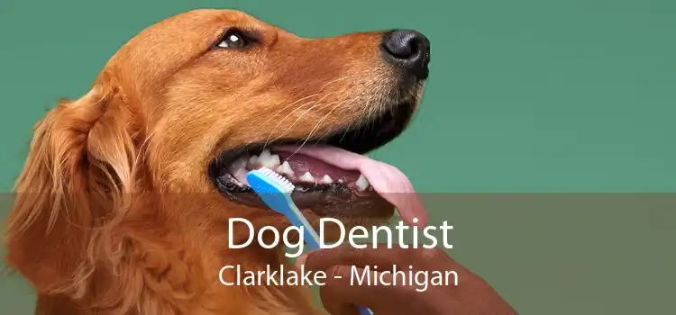 Dog Dentist Clarklake - Michigan