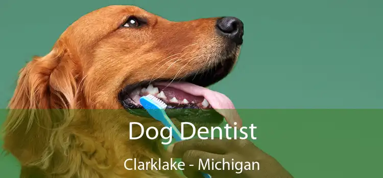 Dog Dentist Clarklake - Michigan