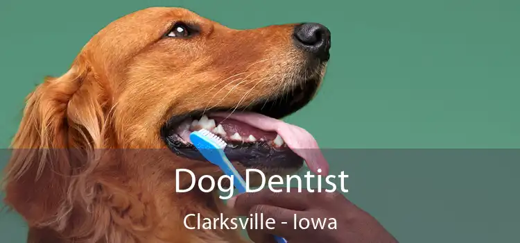 Dog Dentist Clarksville - Iowa