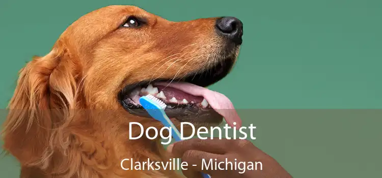 Dog Dentist Clarksville - Michigan