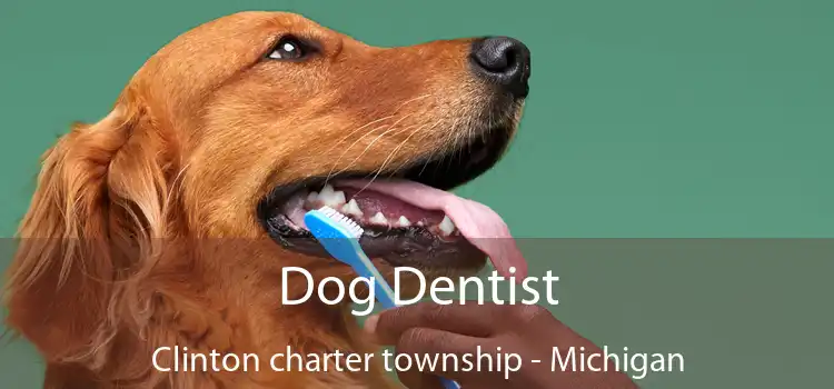 Dog Dentist Clinton charter township - Michigan