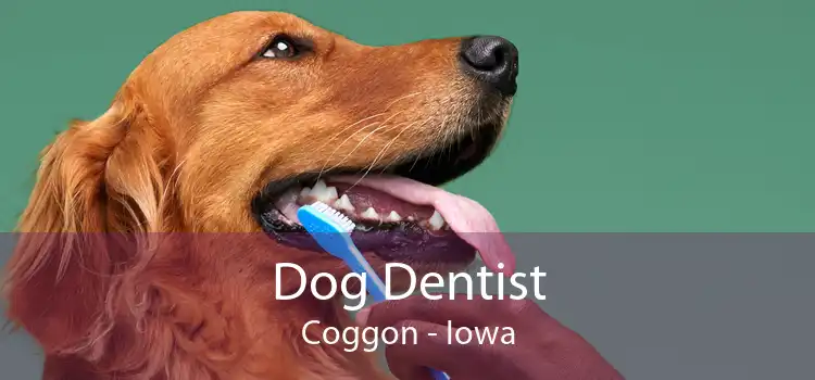 Dog Dentist Coggon - Iowa