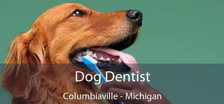 Dog Dentist Columbiaville - Michigan