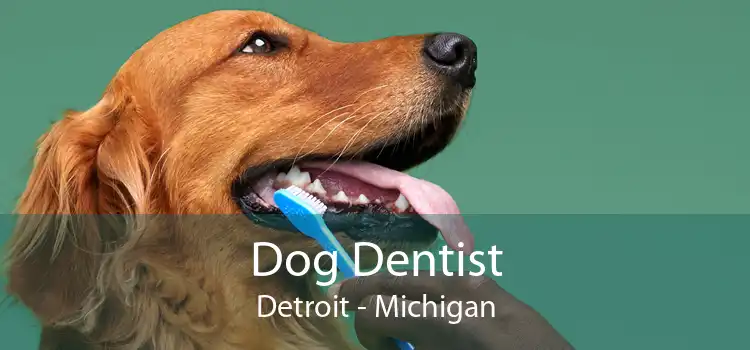 Dog Dentist Detroit - Michigan