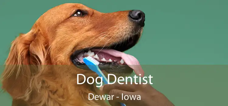 Dog Dentist Dewar - Iowa