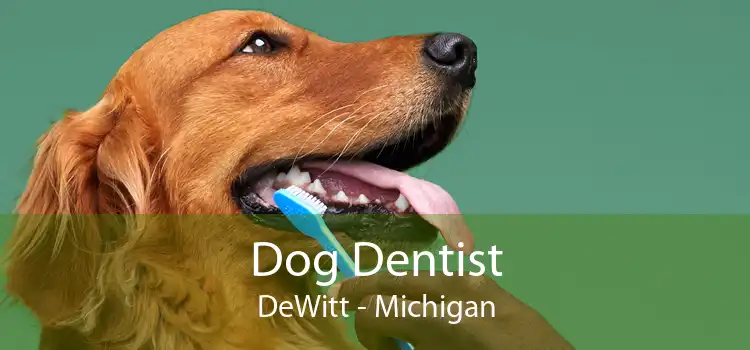 Dog Dentist DeWitt - Michigan
