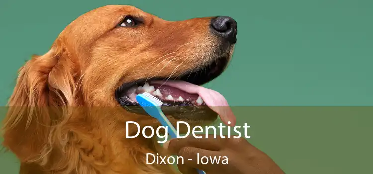 Dog Dentist Dixon - Iowa