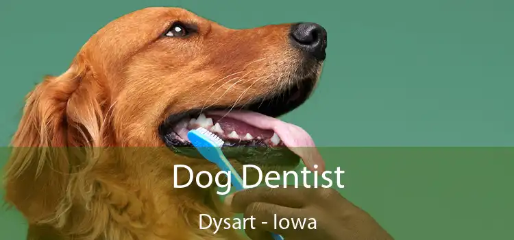 Dog Dentist Dysart - Iowa