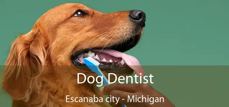 Dog Dentist Escanaba city - Michigan