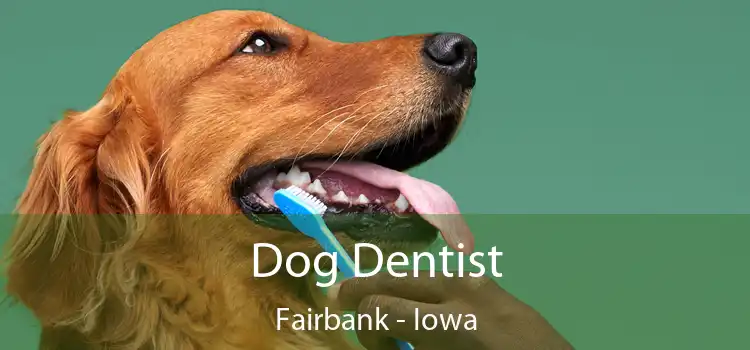 Dog Dentist Fairbank - Iowa