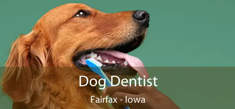 Dog Dentist Fairfax - Iowa