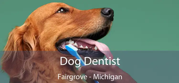 Dog Dentist Fairgrove - Michigan