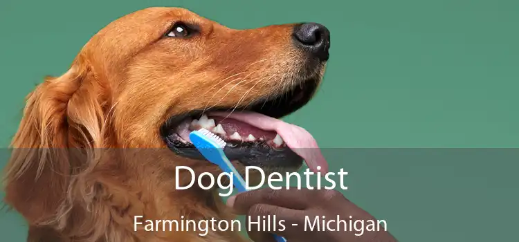 Dog Dentist Farmington Hills - Michigan