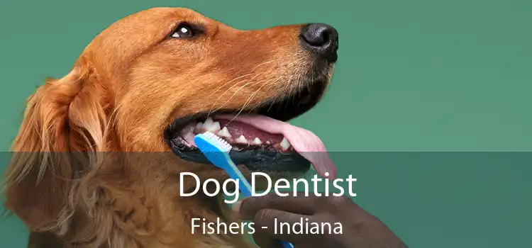 Dog Dentist Fishers - Indiana