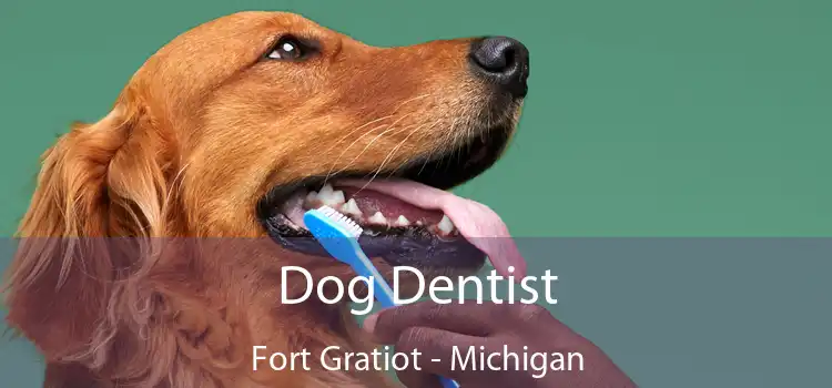 Dog Dentist Fort Gratiot - Michigan