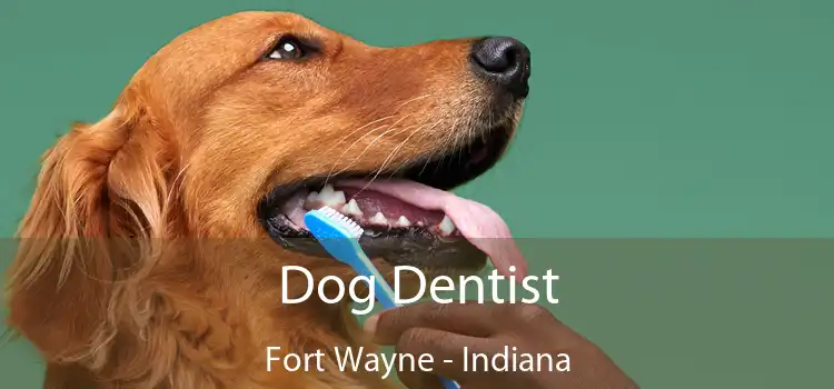 Dog Dentist Fort Wayne - Indiana