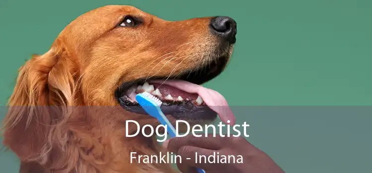 Dog Dentist Franklin - Indiana