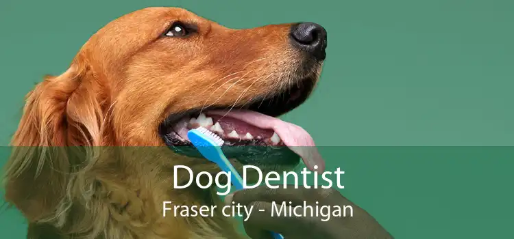 Dog Dentist Fraser city - Michigan