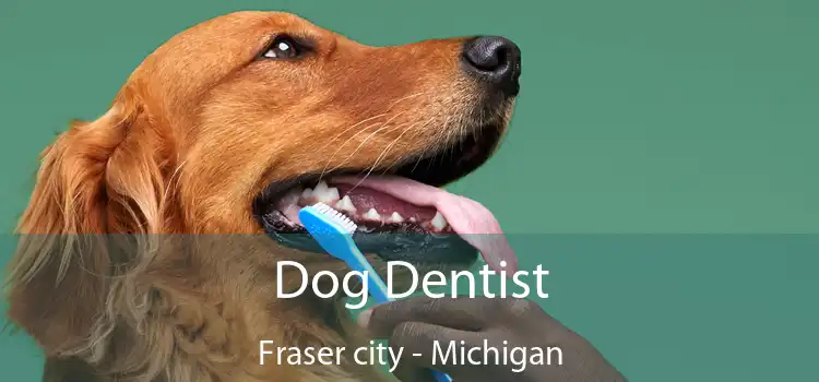 Dog Dentist Fraser city - Michigan