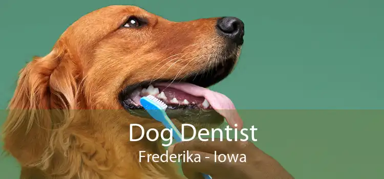 Dog Dentist Frederika - Iowa