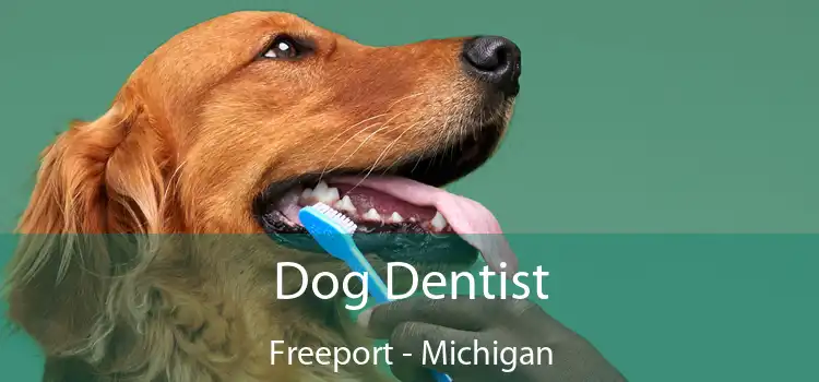 Dog Dentist Freeport - Michigan