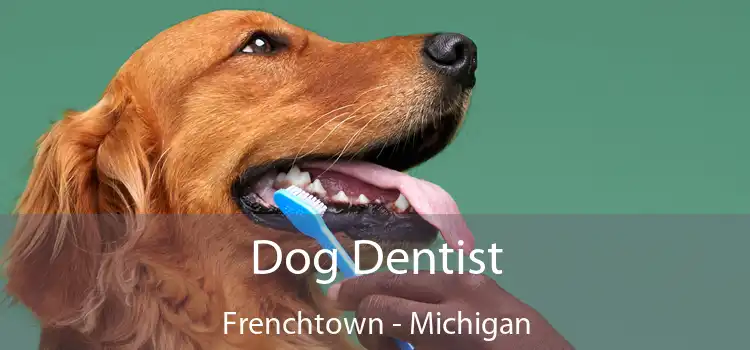 Dog Dentist Frenchtown - Michigan