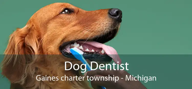Dog Dentist Gaines charter township - Michigan