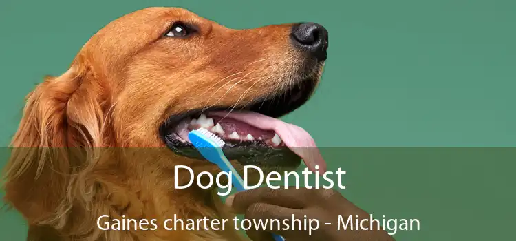 Dog Dentist Gaines charter township - Michigan