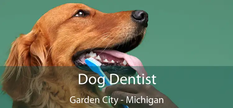 Dog Dentist Garden City - Michigan