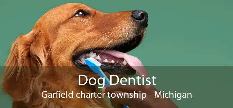 Dog Dentist Garfield charter township - Michigan