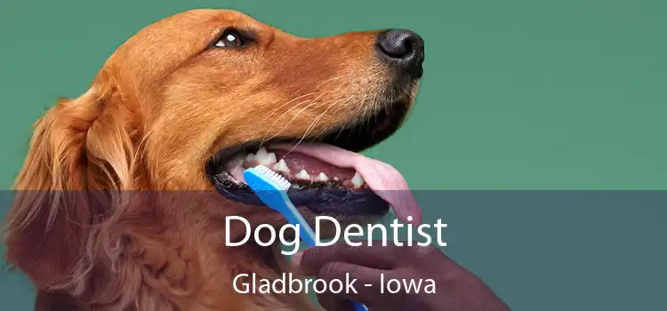 Dog Dentist Gladbrook - Iowa