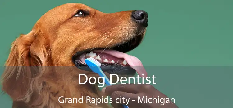 Dog Dentist Grand Rapids city - Michigan