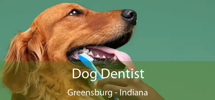 Dog Dentist Greensburg - Indiana