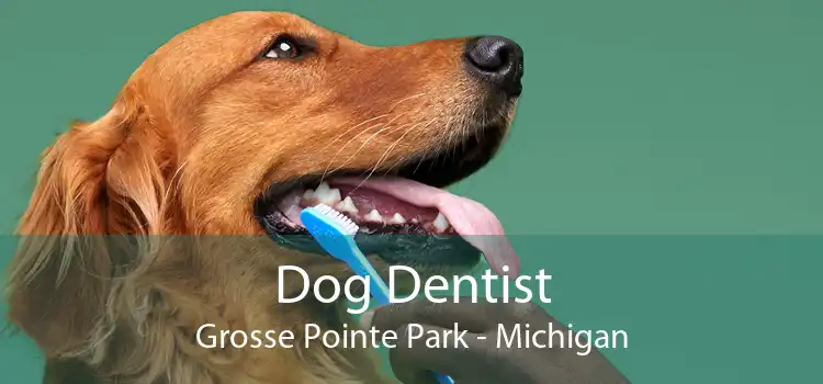 Dog Dentist Grosse Pointe Park - Michigan