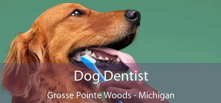 Dog Dentist Grosse Pointe Woods - Michigan