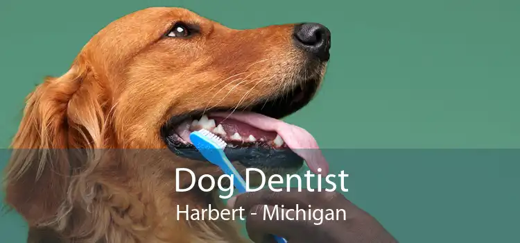 Dog Dentist Harbert - Michigan