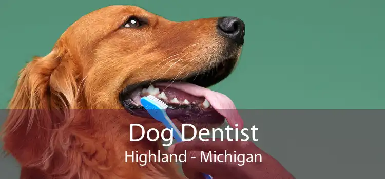 Dog Dentist Highland - Michigan