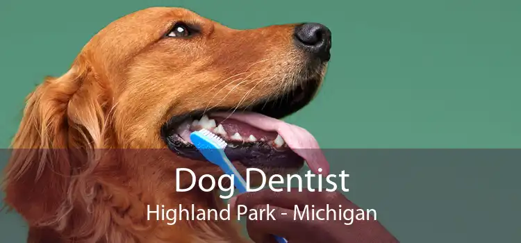 Dog Dentist Highland Park - Michigan