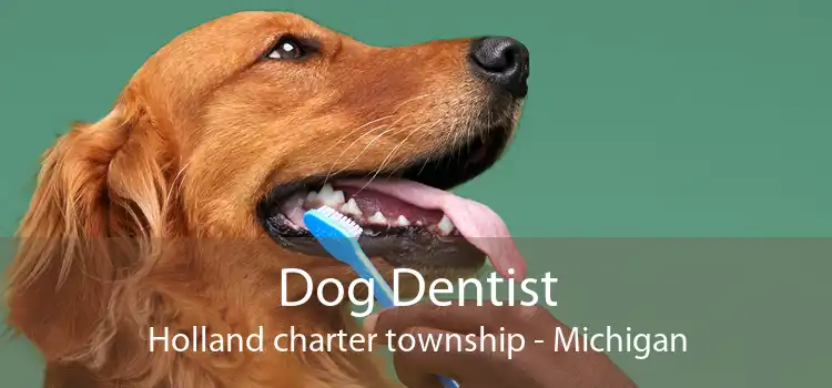 Dog Dentist Holland charter township - Michigan