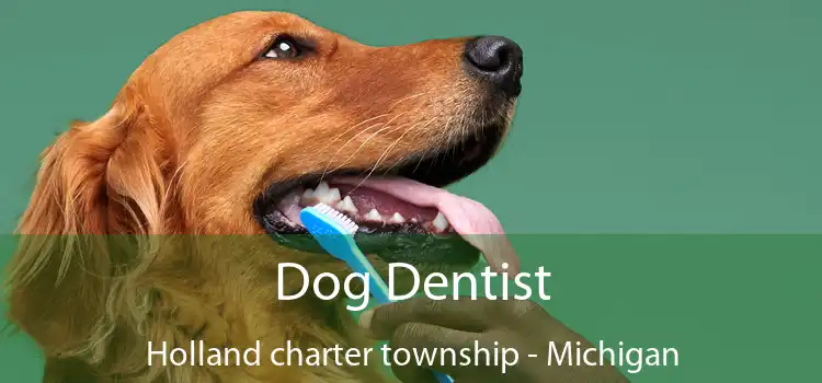 Dog Dentist Holland charter township - Michigan