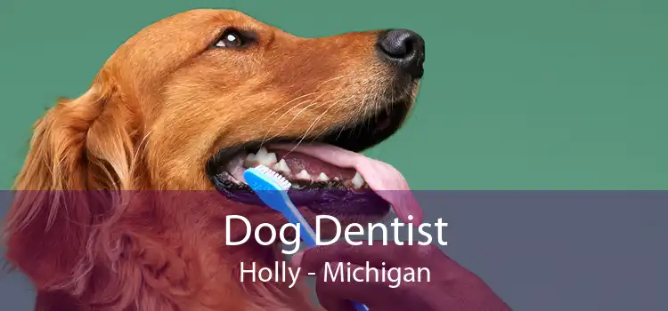 Dog Dentist Holly - Michigan