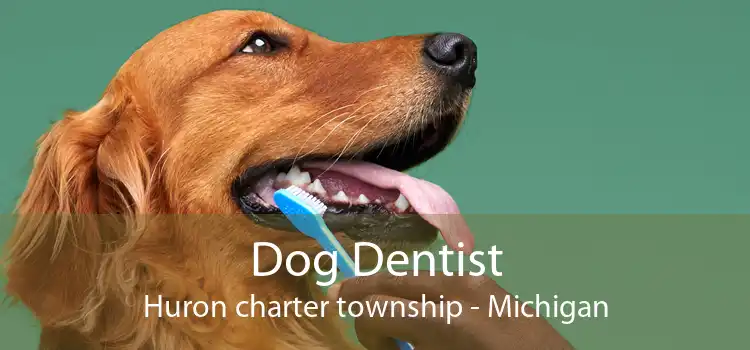 Dog Dentist Huron charter township - Michigan