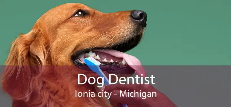 Dog Dentist Ionia city - Michigan